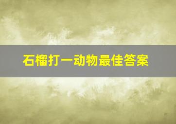 石榴打一动物最佳答案