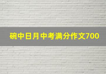 碗中日月中考满分作文700