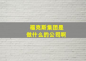 福克斯集团是做什么的公司啊