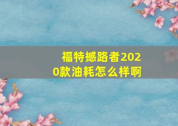 福特撼路者2020款油耗怎么样啊