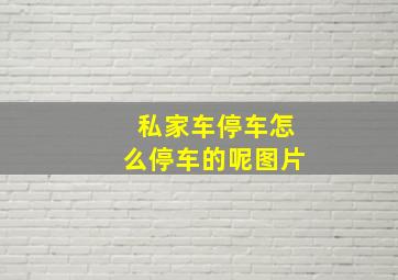 私家车停车怎么停车的呢图片