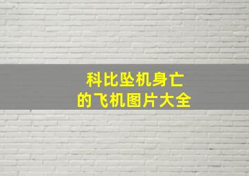 科比坠机身亡的飞机图片大全