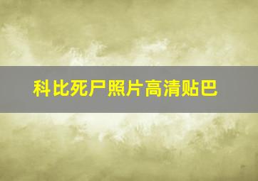 科比死尸照片高清贴巴