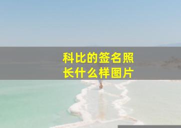 科比的签名照长什么样图片