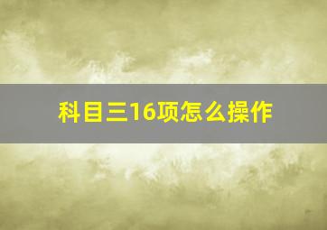 科目三16项怎么操作