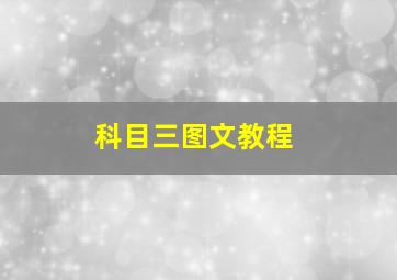 科目三图文教程