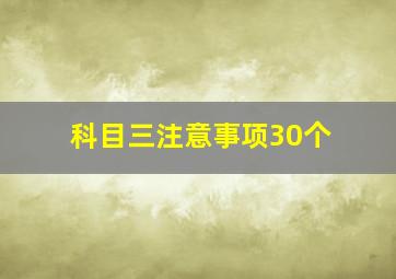 科目三注意事项30个