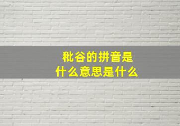 秕谷的拼音是什么意思是什么