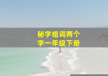 秘字组词两个字一年级下册