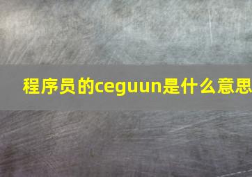 程序员的ceguun是什么意思