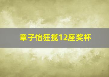 章子怡狂揽12座奖杯