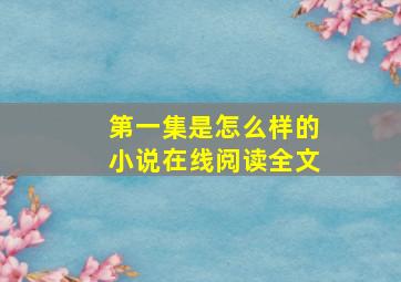 第一集是怎么样的小说在线阅读全文