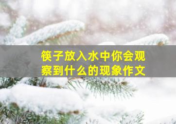 筷子放入水中你会观察到什么的现象作文