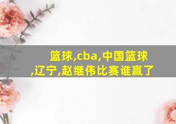 篮球,cba,中国篮球,辽宁,赵继伟比赛谁赢了