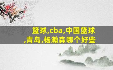 篮球,cba,中国篮球,青岛,杨瀚森哪个好些