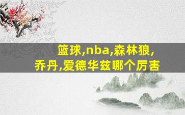 篮球,nba,森林狼,乔丹,爱德华兹哪个厉害