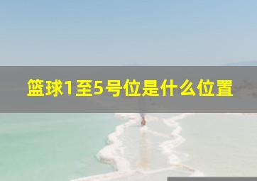 篮球1至5号位是什么位置