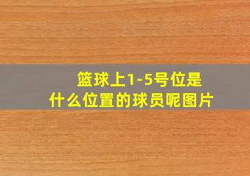 篮球上1-5号位是什么位置的球员呢图片