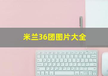 米兰36团图片大全