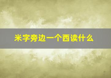 米字旁边一个西读什么