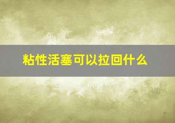 粘性活塞可以拉回什么