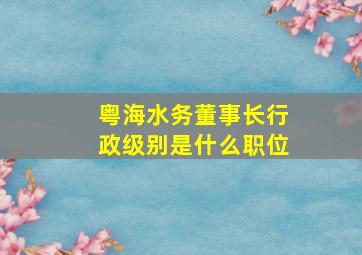 粤海水务董事长行政级别是什么职位