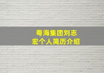 粤海集团刘志宏个人简历介绍