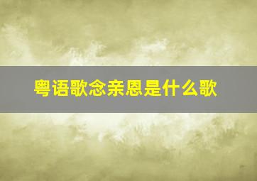 粤语歌念亲恩是什么歌