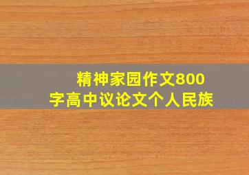 精神家园作文800字高中议论文个人民族