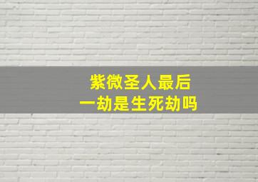 紫微圣人最后一劫是生死劫吗