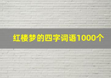 红楼梦的四字词语1000个