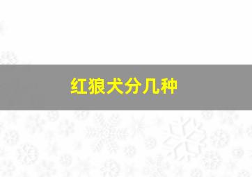 红狼犬分几种