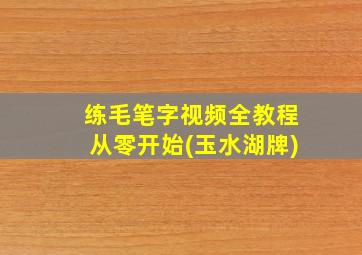 练毛笔字视频全教程从零开始(玉水湖牌)