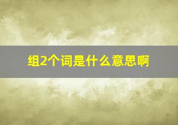 组2个词是什么意思啊