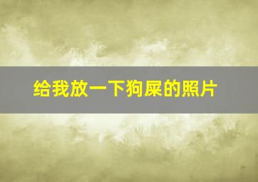 给我放一下狗屎的照片