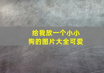 给我放一个小小狗的图片大全可爱