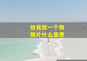 给我放一个狗照片什么意思