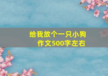 给我放个一只小狗作文500字左右