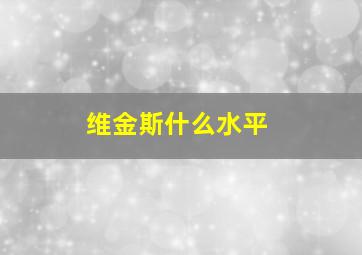 维金斯什么水平