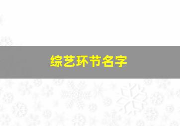 综艺环节名字