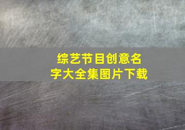 综艺节目创意名字大全集图片下载