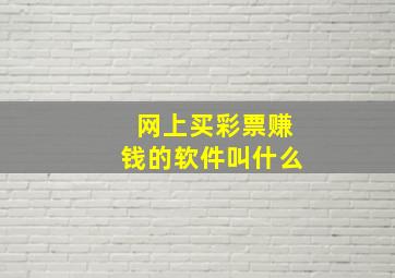 网上买彩票赚钱的软件叫什么