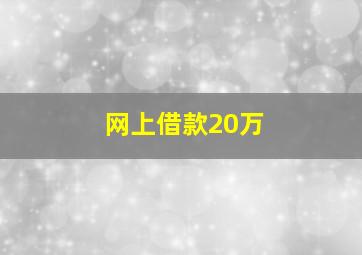 网上借款20万