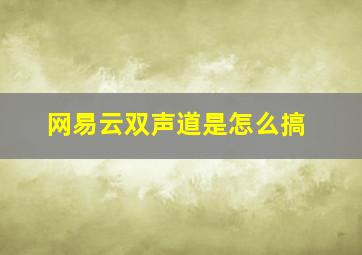 网易云双声道是怎么搞