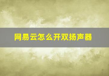 网易云怎么开双扬声器