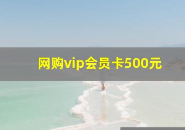 网购vip会员卡500元