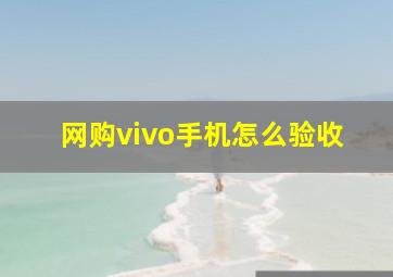 网购vivo手机怎么验收