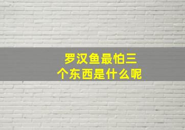 罗汉鱼最怕三个东西是什么呢