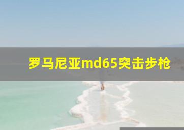 罗马尼亚md65突击步枪