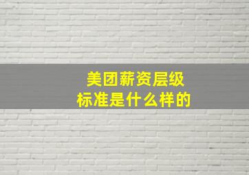 美团薪资层级标准是什么样的